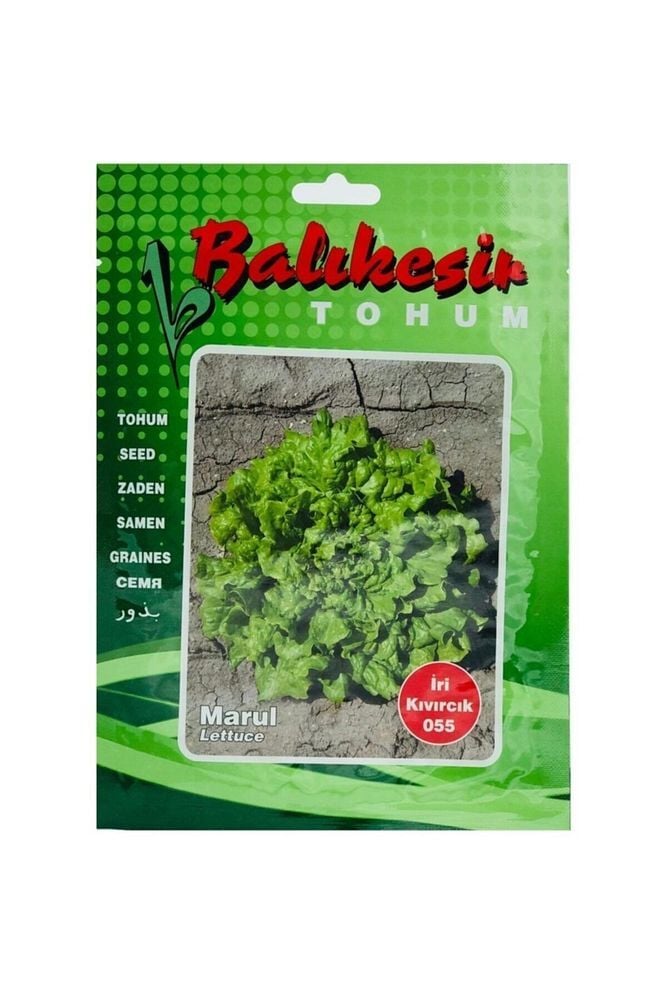 Thebestonline  Balıkesir Tohumculuk Iri Kıvırcık Marul Tohumu, 25 Gr.