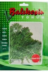 Thebestonline  Dereotu Tohumu (25 GR) Gönen 010