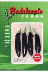 Thebestonline  Patlıcan Tohumu (25gr)