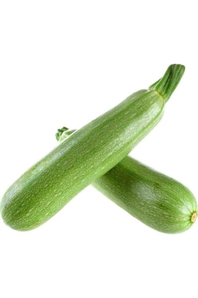 Thebestonline Sakız Kabak Fidesi, 5 Adet