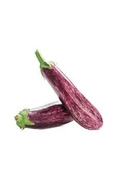 Thebestonline Manisa Çizgili Patlıcan Fidesi, 10 Adet