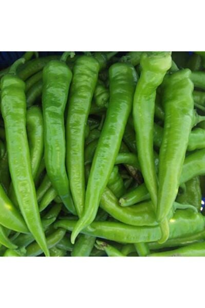 Thebestonline Demre/kahvaltılık Biber Fidesi, 5 Adet