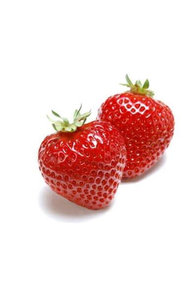 Askılı Saksıda Yediveren Çilek Fidesi