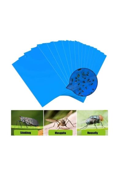 Mavi Tuzak (BÖCEK TUZAĞİ), 10-20 Cm, 2 Adet