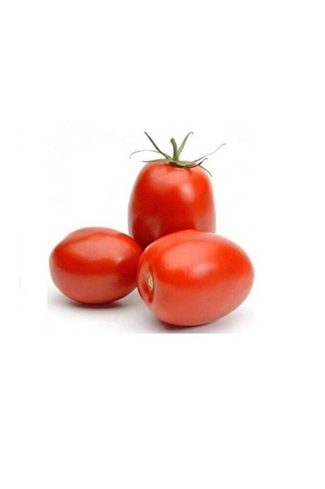 Thebestonline Bambino Domates Fidesi, 5 Adet