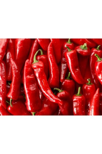 Thebestonline Kapya Biber Fidesi, 5 Adet