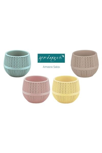 - Amasra 4 Adet Mini Kaktüs-sukulent Saksı Seti-amasra Saksı No: 1 Drenajlı 0,13 Lt ( Asr1)