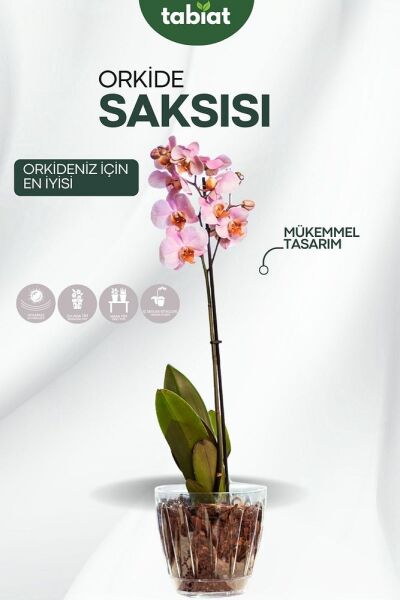 - Orkide Saksısı - Şeffaf Saksı - 3 Lt