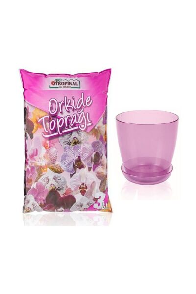 Orkide Toprağı (3LT) Şeffaf Mor Orkide Saksısı (1,5 LT) Orkide Toprak Değişim Orkide Saksı Büyütme