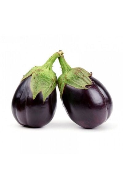 Thebestonline Bostan Patlıcan Fidesi, 5 Adet