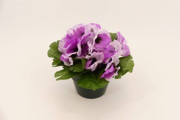 Thebestonline Bal Mumu Çiçeği