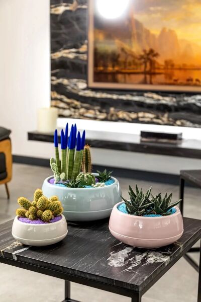 Serınova Saksı Elvan Kaktus Teklı Yuvarlak 0,55 lt Süpriz Renk