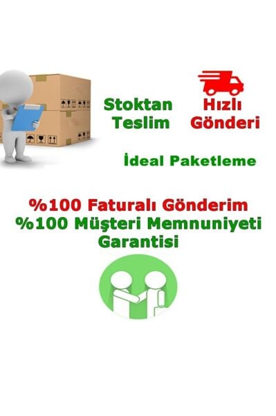 Tüplü Hicaz Nar Fidanı 2 Yaş