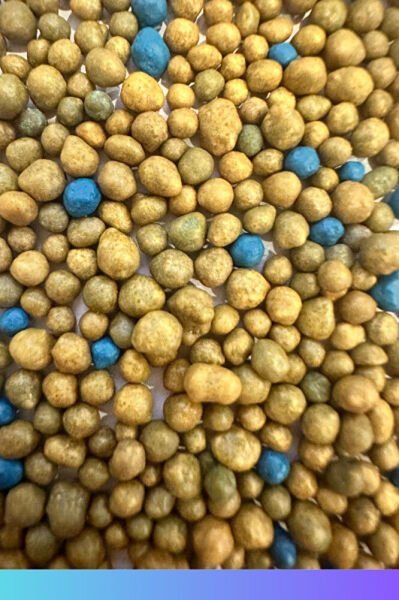 Osmocote® Exact Standard 15-9-11 + 2MgO + TE | 8-9 Ay Kontrollü Salınımlı Gübre (50 gram)