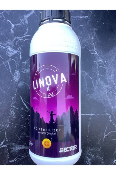 20 Adet Kasimpati Cicegi Fidesi (10-15 CM) Tomurcuklu Turuncu -sari -kirmizi-beyaz Renkler